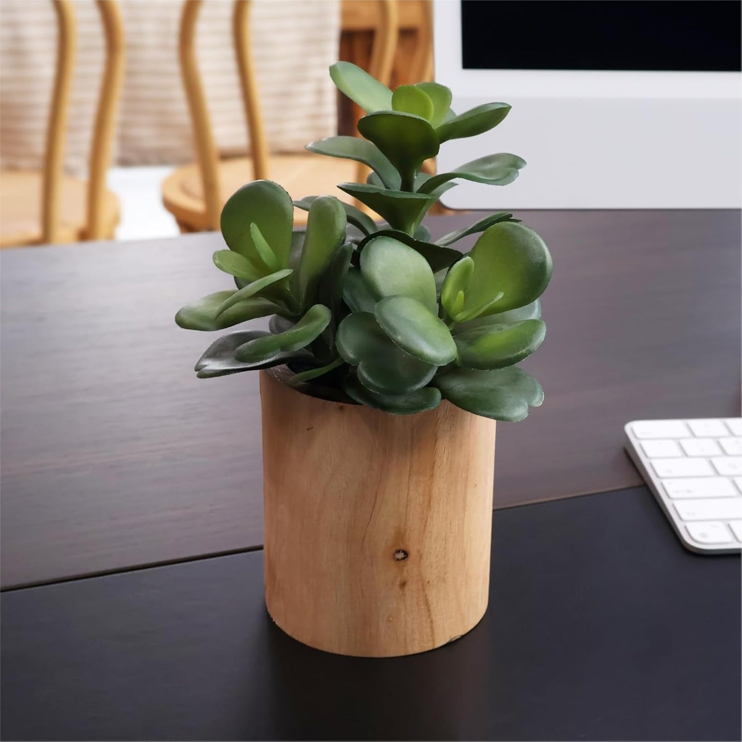 Artificial Succulents with Pots - Set of 3 Small Fake Plants for Aesthetic Room Decor - Realistic Mini Faux Greenery for Office Desk, Bookshelf, and Bathroom - Modern Home Accents
