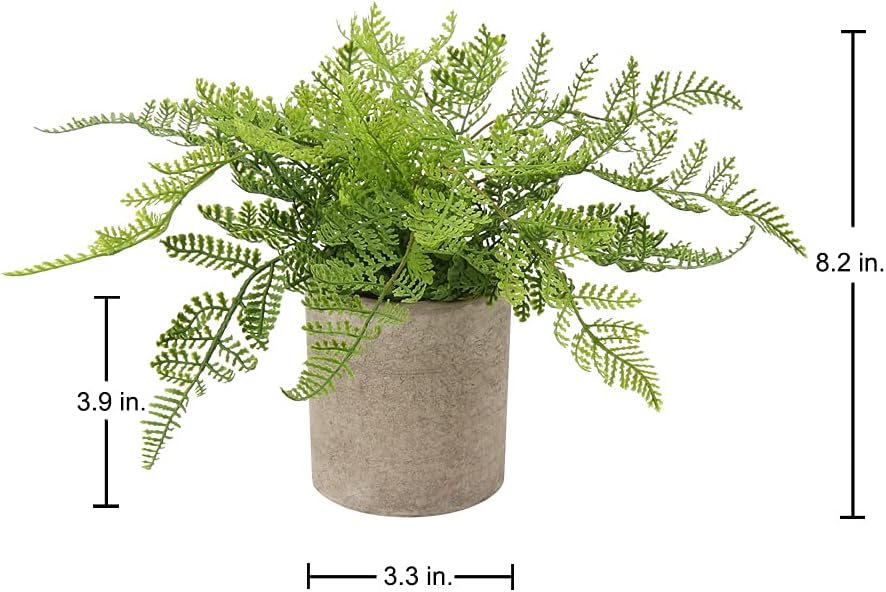 Briful Small Fake Plant Potted Plants Artificial Decor Plastic Asparagus Ferns Plant Faux Plants in Pots for Home Living Room Bedroom Desk Shelf Farmhouse Decoration
