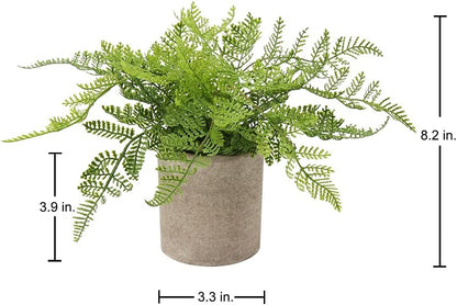 Briful Small Fake Plant Potted Plants Artificial Decor Plastic Asparagus Ferns Plant Faux Plants in Pots for Home Living Room Bedroom Desk Shelf Farmhouse Decoration