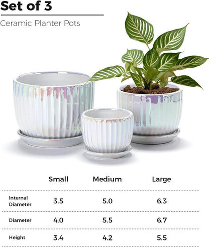 Ton Sin Pink Gold Ceramic Flower Pots, 4"+5"+6" Inch Small Glazed Succulent Planters with Drainage Hole,Modern Indoor Decorative Plant Pots Set of 3,Garden Pots with Saucer