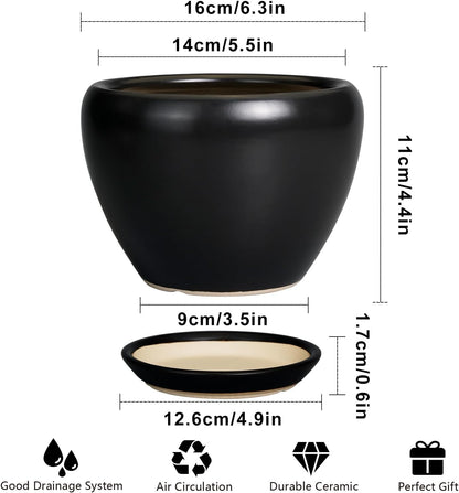 Ceramic Modern Glaze Succulent Planter Pot with Drainage Hole and Saucer 6 Inch Round Flower Plant Pot for Indoor Outdoor Herb Snake Plants