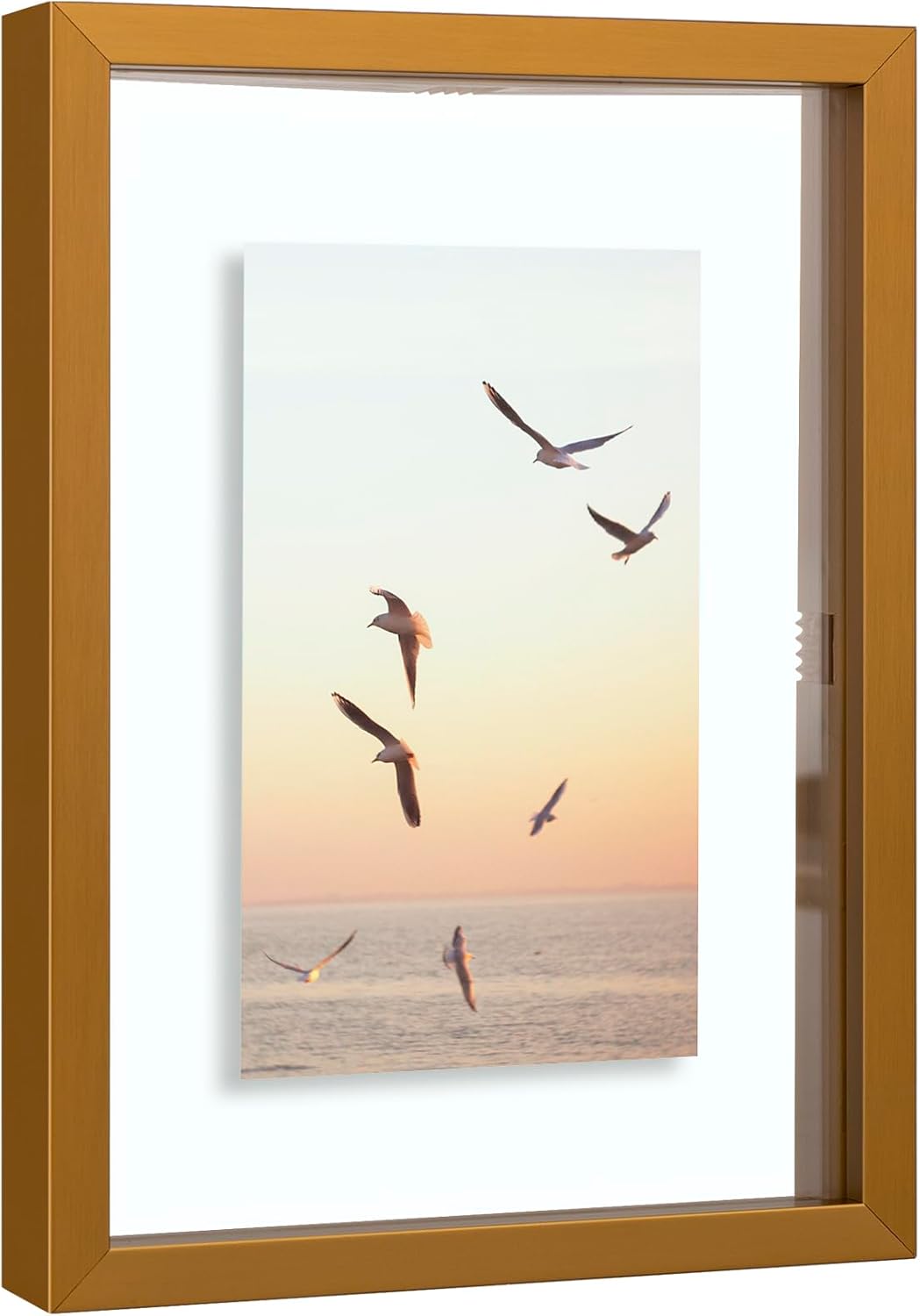 Frametory, Floating Picture Frame 12x16 - Black Aluminum Metal Photo Frame - Real Glass of Front - for Wall Mount Display