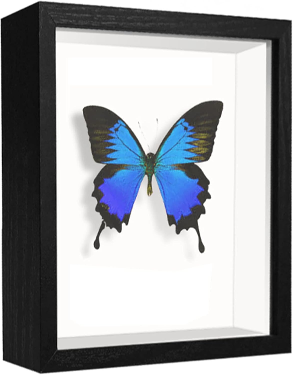 8x8 Shadow Box Frame Display Case with Letter Stickers, 3D Picture Frame, Display Case Box for Memorabilia, Baby Items, Wedding Memories, Crafts, Tickets and Photos (White, 8x8)
