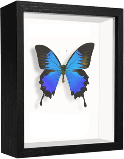 8x8 Shadow Box Frame Display Case with Letter Stickers, 3D Picture Frame, Display Case Box for Memorabilia, Baby Items, Wedding Memories, Crafts, Tickets and Photos (White, 8x8)