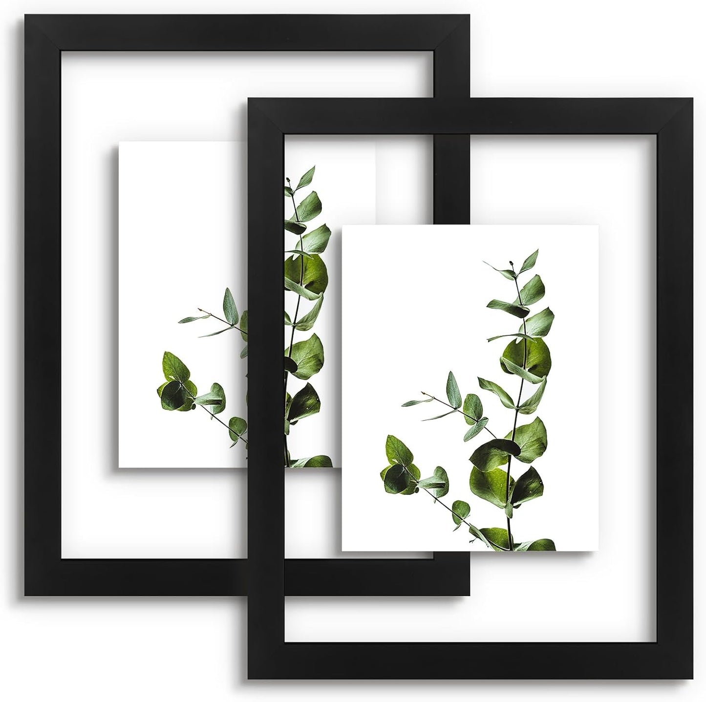 Golden State Art, 11X14 Floating Picture Frame, Black Wood Frame Display Any Size Photo Up To 11X14, Pressed Flower Frames with Hanging Hardware - Horizontal And Vertical Formats for Wall