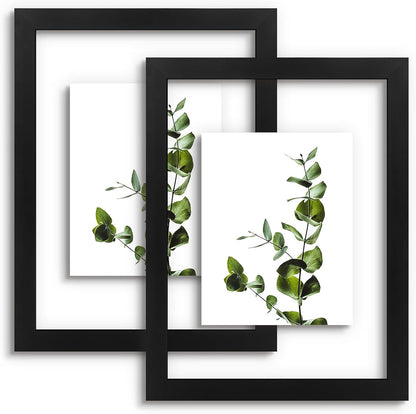 Golden State Art, 11X14 Floating Picture Frame, Black Wood Frame Display Any Size Photo Up To 11X14, Pressed Flower Frames with Hanging Hardware - Horizontal And Vertical Formats for Wall