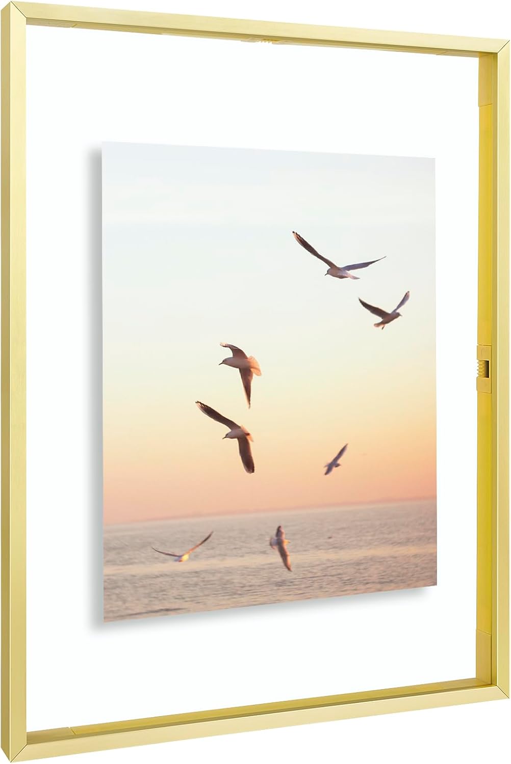 Frametory, Floating Picture Frame 12x16 - Black Aluminum Metal Photo Frame - Real Glass of Front - for Wall Mount Display
