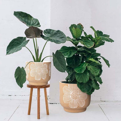 YBX 8 Inch + 6 Inch Ceramic Plant Pots, Succulent Flower Pots with Drainage Holes, Terracotta Planters for Indoor Plants, White&Terracotta (Garden)