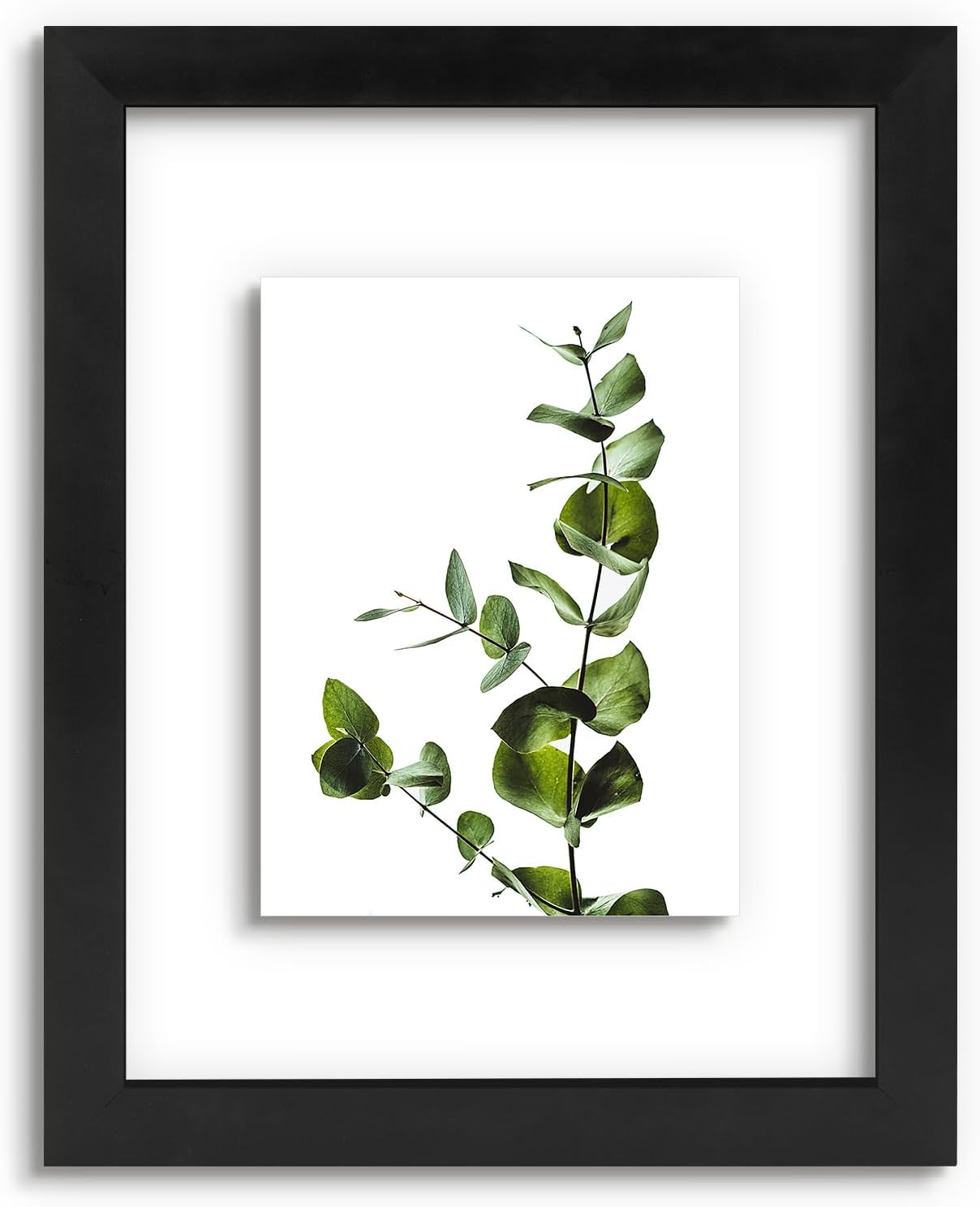 Golden State Art, 11X14 Floating Picture Frame, Black Wood Frame Display Any Size Photo Up To 11X14, Pressed Flower Frames with Hanging Hardware - Horizontal And Vertical Formats for Wall