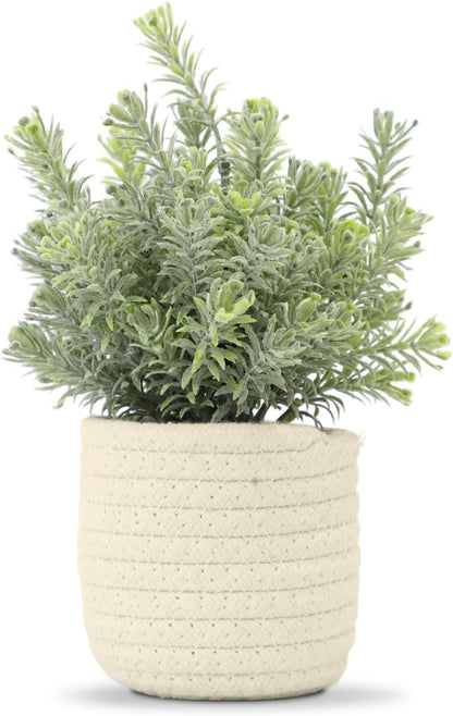 Hopewood Faux Plants, Small Fake Plant for Bathroom, Decorative Artificial Plants for Farmhouse Desk Shelf Decor with A Weave Basket (9.8inch)