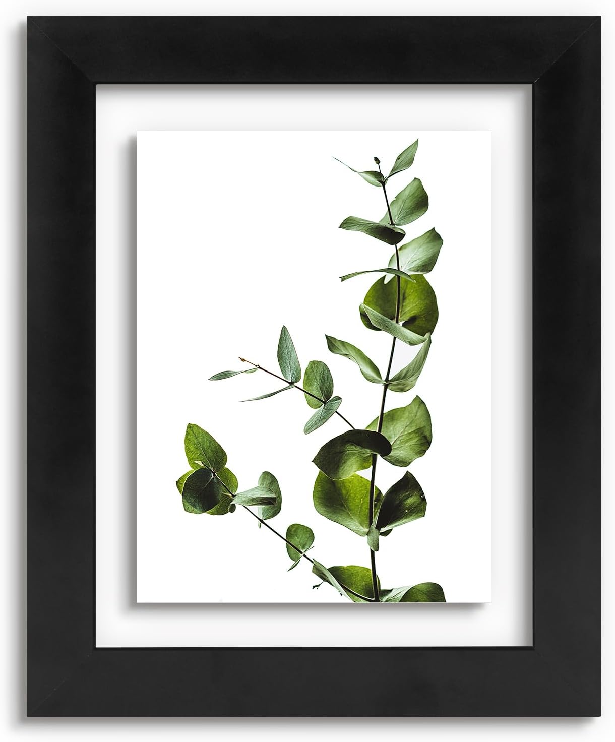 Golden State Art, 11X14 Floating Picture Frame, Black Wood Frame Display Any Size Photo Up To 11X14, Pressed Flower Frames with Hanging Hardware - Horizontal And Vertical Formats for Wall
