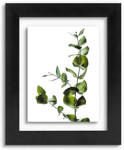 Golden State Art, 11X14 Floating Picture Frame, Black Wood Frame Display Any Size Photo Up To 11X14, Pressed Flower Frames with Hanging Hardware - Horizontal And Vertical Formats for Wall