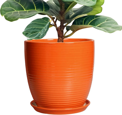 Ceramic Pots for Plants - 6 Inch Plant Pot with Drainage Hole and Saucer, Round Planters for Indoor Outdoor, Flower Pots, Modern Planter, Home Office Room Decor, Gifts for Plant Lovers, White