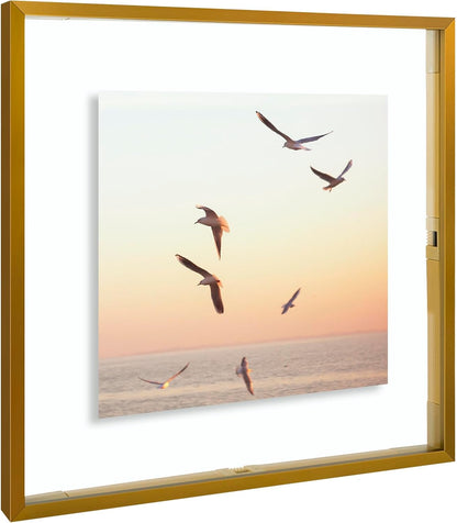 Frametory, Floating Picture Frame 12x16 - Black Aluminum Metal Photo Frame - Real Glass of Front - for Wall Mount Display
