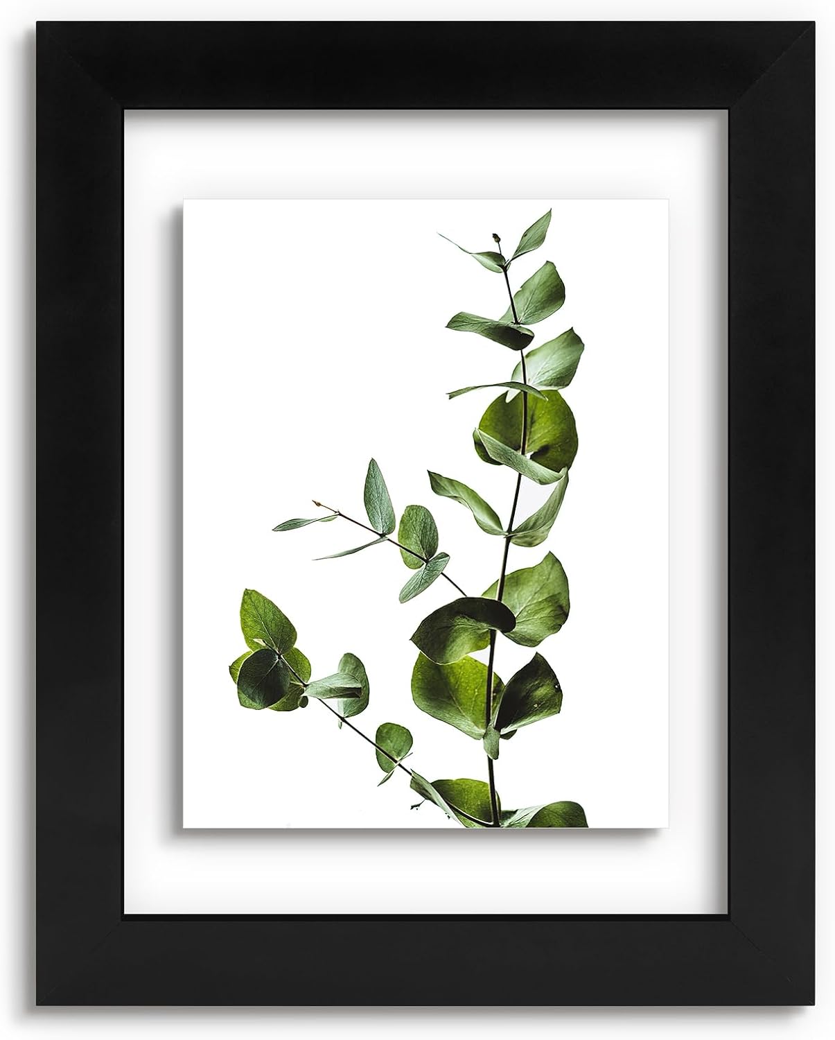 Golden State Art, 11X14 Floating Picture Frame, Black Wood Frame Display Any Size Photo Up To 11X14, Pressed Flower Frames with Hanging Hardware - Horizontal And Vertical Formats for Wall