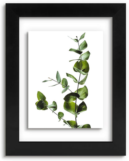 Golden State Art, 11X14 Floating Picture Frame, Black Wood Frame Display Any Size Photo Up To 11X14, Pressed Flower Frames with Hanging Hardware - Horizontal And Vertical Formats for Wall