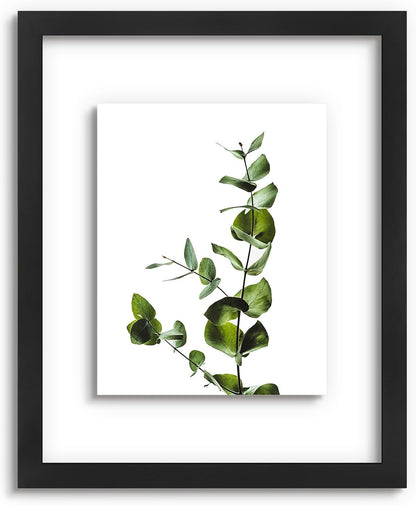 Golden State Art, 11X14 Floating Picture Frame, Black Wood Frame Display Any Size Photo Up To 11X14, Pressed Flower Frames with Hanging Hardware - Horizontal And Vertical Formats for Wall