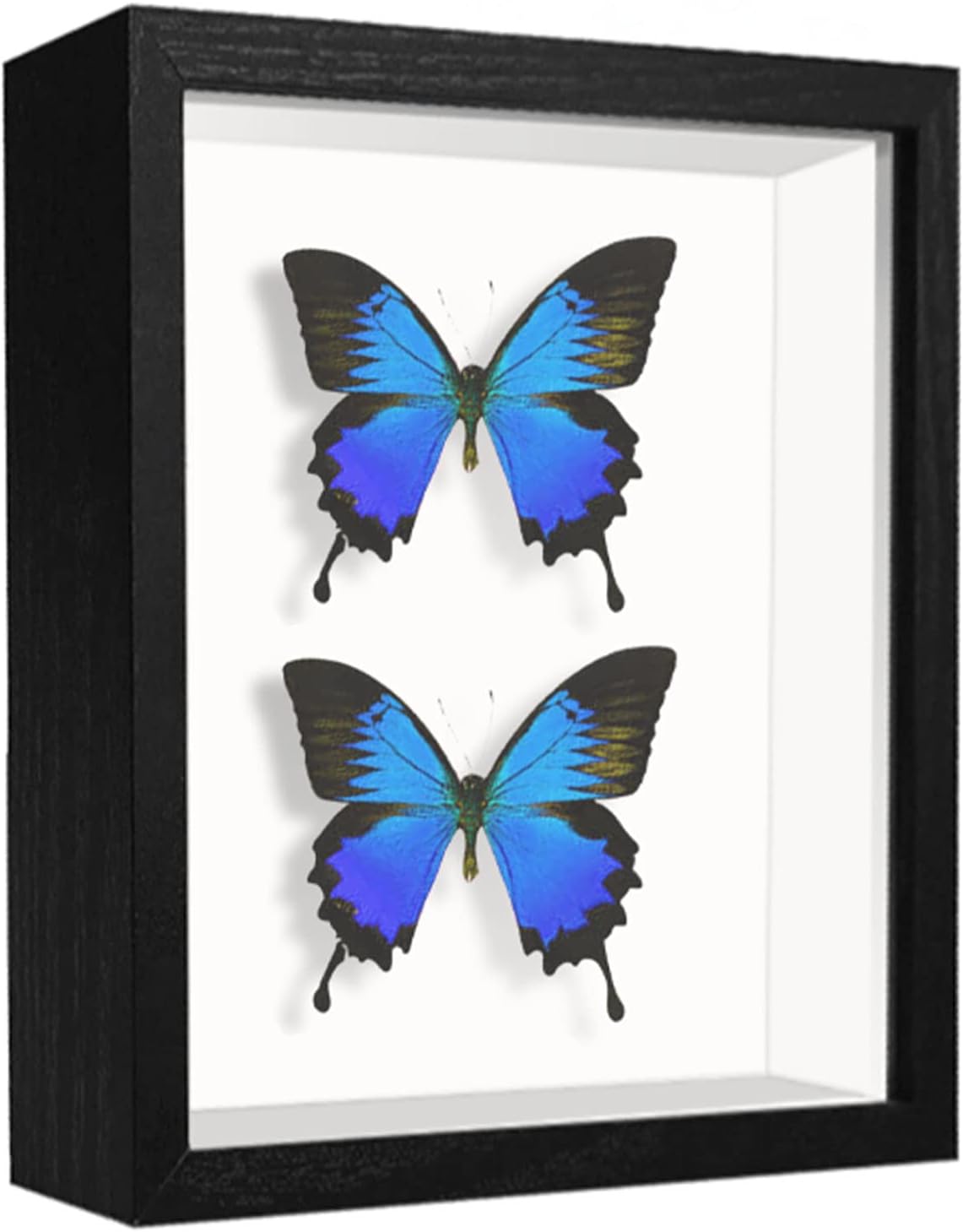 8x8 Shadow Box Frame Display Case with Letter Stickers, 3D Picture Frame, Display Case Box for Memorabilia, Baby Items, Wedding Memories, Crafts, Tickets and Photos (White, 8x8)