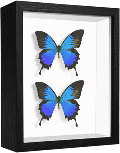 8x8 Shadow Box Frame Display Case with Letter Stickers, 3D Picture Frame, Display Case Box for Memorabilia, Baby Items, Wedding Memories, Crafts, Tickets and Photos (White, 8x8)