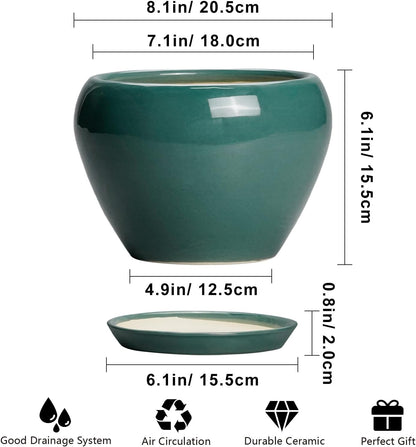 Ceramic Modern Glaze Succulent Planter Pot with Drainage Hole and Saucer 6 Inch Round Flower Plant Pot for Indoor Outdoor Herb Snake Plants