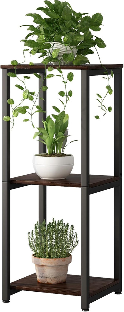 Plant Stand Indoor Corner Tall 2 Tier Metal Modern Flower Storage Plant Shelf Holder for Living Room Balcony Garden,Black (2 Tier-Black Round)