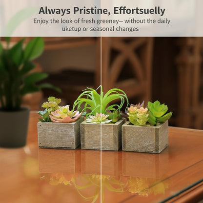 Succulent Plants Artificial, 3 Pack Small Fake Plants in Wood Pot for Home Decor, Farmhouse Artificial Plants Indoor for Living Room Bathroom Bedroom Office Kitchen Desk Wedding Coffee Table Decor