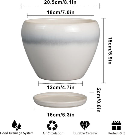 Ceramic Modern Glaze Succulent Planter Pot with Drainage Hole and Saucer 6 Inch Round Flower Plant Pot for Indoor Outdoor Herb Snake Plants