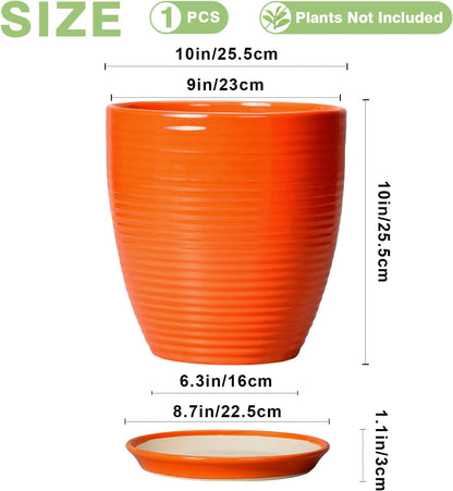 Ceramic Pots for Plants - 6 Inch Plant Pot with Drainage Hole and Saucer, Round Planters for Indoor Outdoor, Flower Pots, Modern Planter, Home Office Room Decor, Gifts for Plant Lovers, White