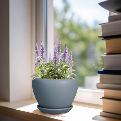 Ceramic Modern Glaze Succulent Planter Pot with Drainage Hole and Saucer 6 Inch Round Flower Plant Pot for Indoor Outdoor Herb Snake Plants