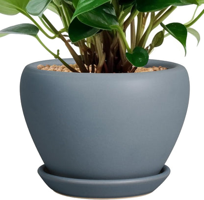 Ceramic Modern Glaze Succulent Planter Pot with Drainage Hole and Saucer 6 Inch Round Flower Plant Pot for Indoor Outdoor Herb Snake Plants