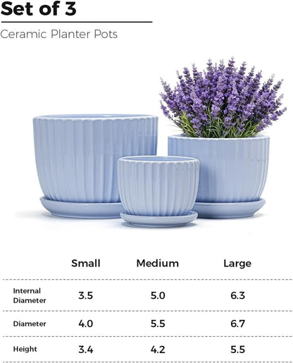 Ton Sin Pink Gold Ceramic Flower Pots, 4"+5"+6" Inch Small Glazed Succulent Planters with Drainage Hole,Modern Indoor Decorative Plant Pots Set of 3,Garden Pots with Saucer