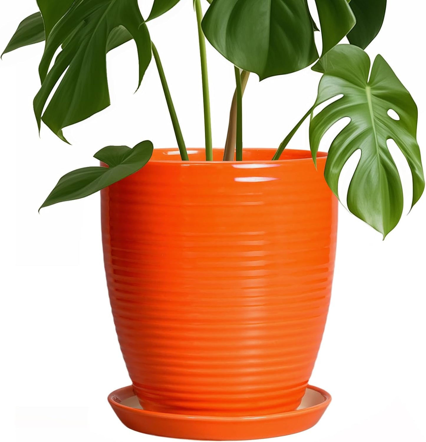 Ceramic Pots for Plants - 6 Inch Plant Pot with Drainage Hole and Saucer, Round Planters for Indoor Outdoor, Flower Pots, Modern Planter, Home Office Room Decor, Gifts for Plant Lovers, White