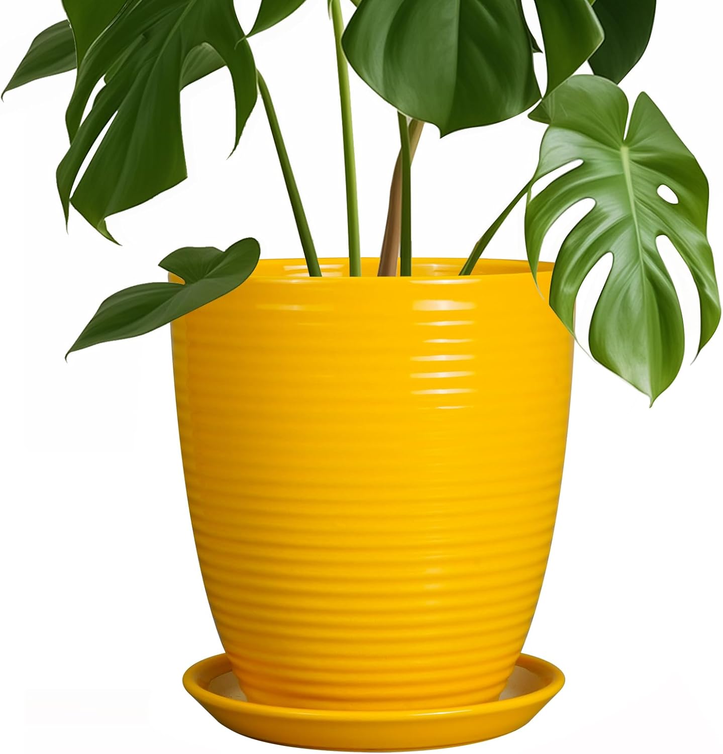 Ceramic Pots for Plants - 6 Inch Plant Pot with Drainage Hole and Saucer, Round Planters for Indoor Outdoor, Flower Pots, Modern Planter, Home Office Room Decor, Gifts for Plant Lovers, White