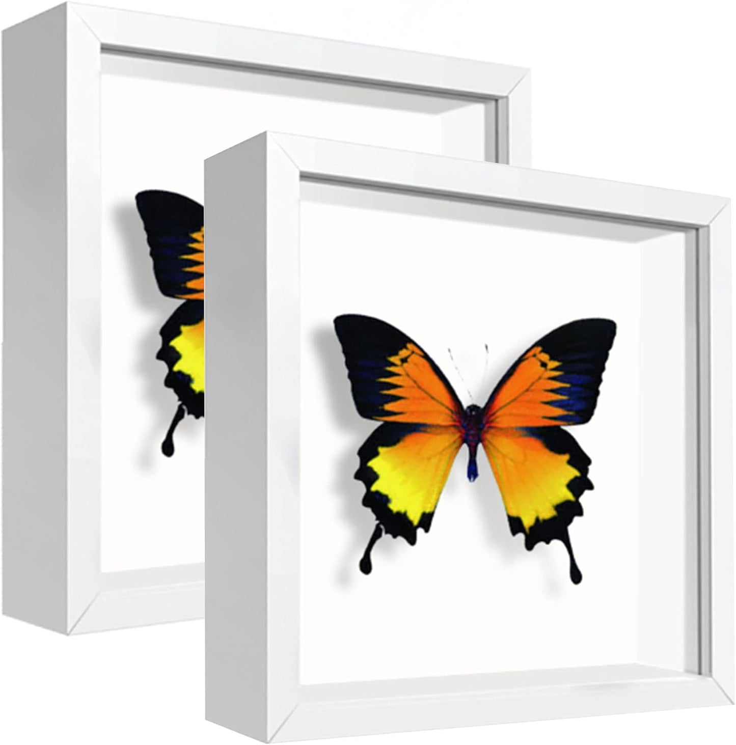 8x8 Shadow Box Frame Display Case with Letter Stickers, 3D Picture Frame, Display Case Box for Memorabilia, Baby Items, Wedding Memories, Crafts, Tickets and Photos (White, 8x8)