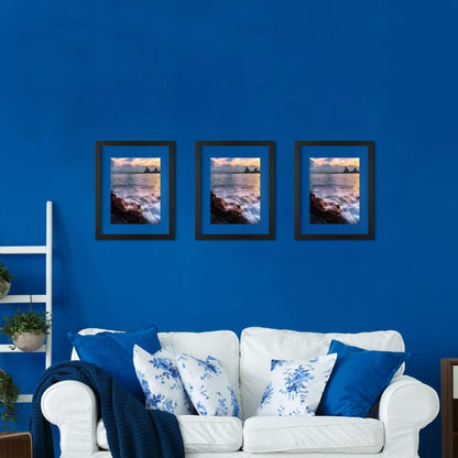 ONE WALL 11x14 Inch Floating Frame, Black Wood Double Glass Float Picture Frame Display 11x14/8x10/5x7 Inch Photos or Plant or Petal Specimens for Wall and Tabletop - Mounting Accessories Included