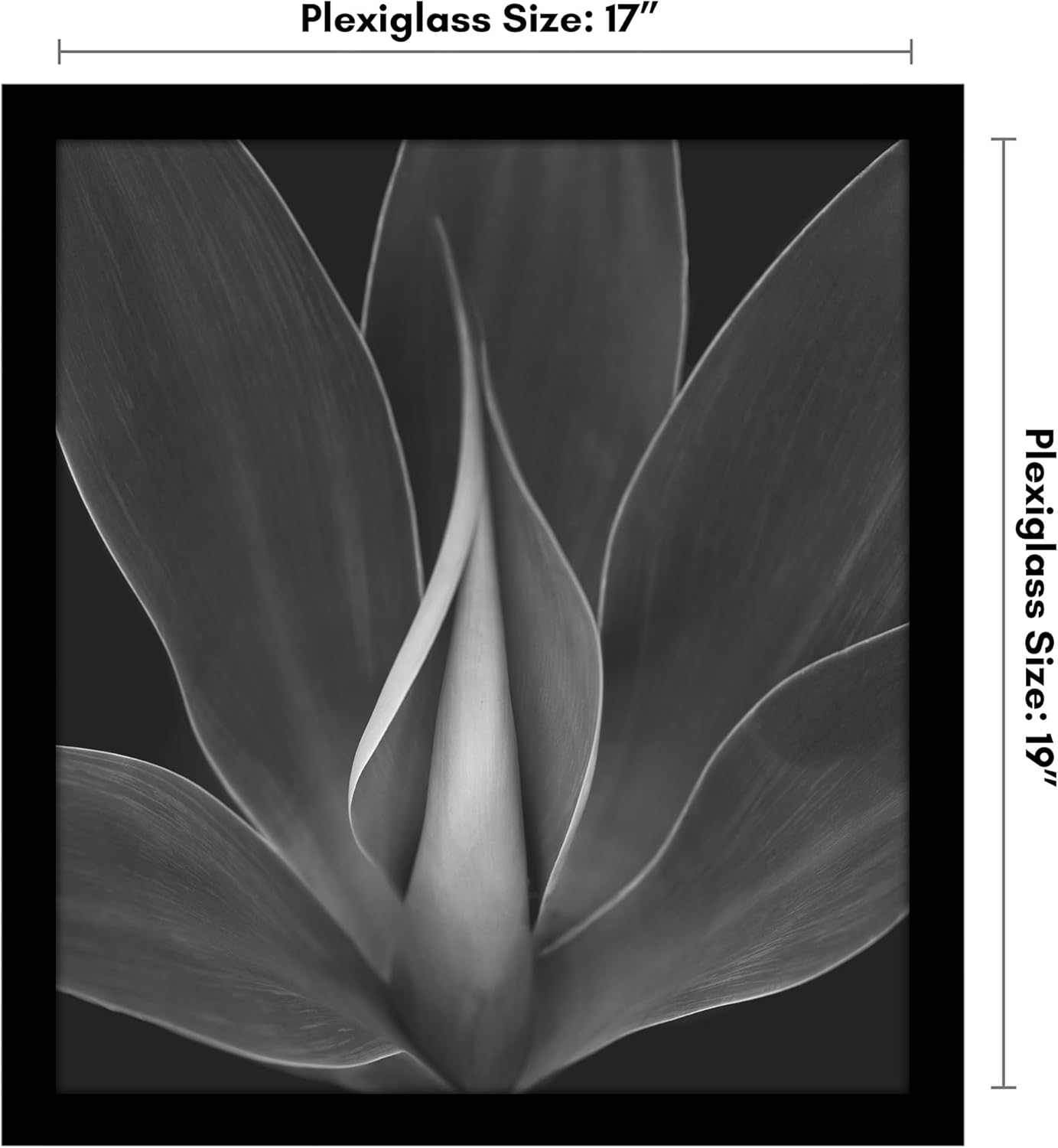 Americanflat 16x20 Picture Frame with Polished Plexiglass - Black Picture Frame - Wide Photo Frames Made of Engineered Wood for Vertical or Horizontal Wall Display - Epic Collection - Black - Colors B