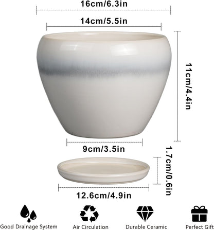 Ceramic Modern Glaze Succulent Planter Pot with Drainage Hole and Saucer 6 Inch Round Flower Plant Pot for Indoor Outdoor Herb Snake Plants
