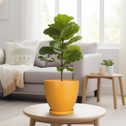 10 Inch Ceramic Planter Pot Round Plant Pot for Indoor Plants Outdoor Large Flower Pot with Drainage Hole and Saucer Blue