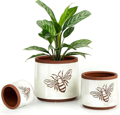 YBX 8 Inch + 6 Inch Ceramic Plant Pots, Succulent Flower Pots with Drainage Holes, Terracotta Planters for Indoor Plants, White&Terracotta (Garden)