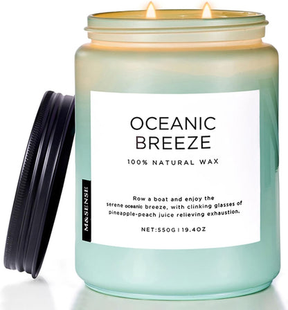 M&SENSE Eucalyptus & Mint Scented Jar Candle, Large 19.4oz Natural Soy Wax, 110-Hour Long Lasting Non-Toxic Clean Burning, Fresh Smelling Home Aromatherapy for Spa Stress Relief, Gifts for Men Women