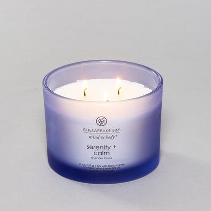 Chesapeake Bay Candle PT40886 Scented Candle Awaken + Invigorate (Lemongrass Eucalyptus) Medium Green Home Décor