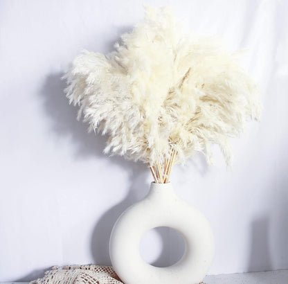 Pampas Grass Decor, Natural Dry Pampas Grass Small, Short Pampass Bulk for Farmhouse, Wall, Kitchen, Bedroom Decor, Office Decor (17 inch )