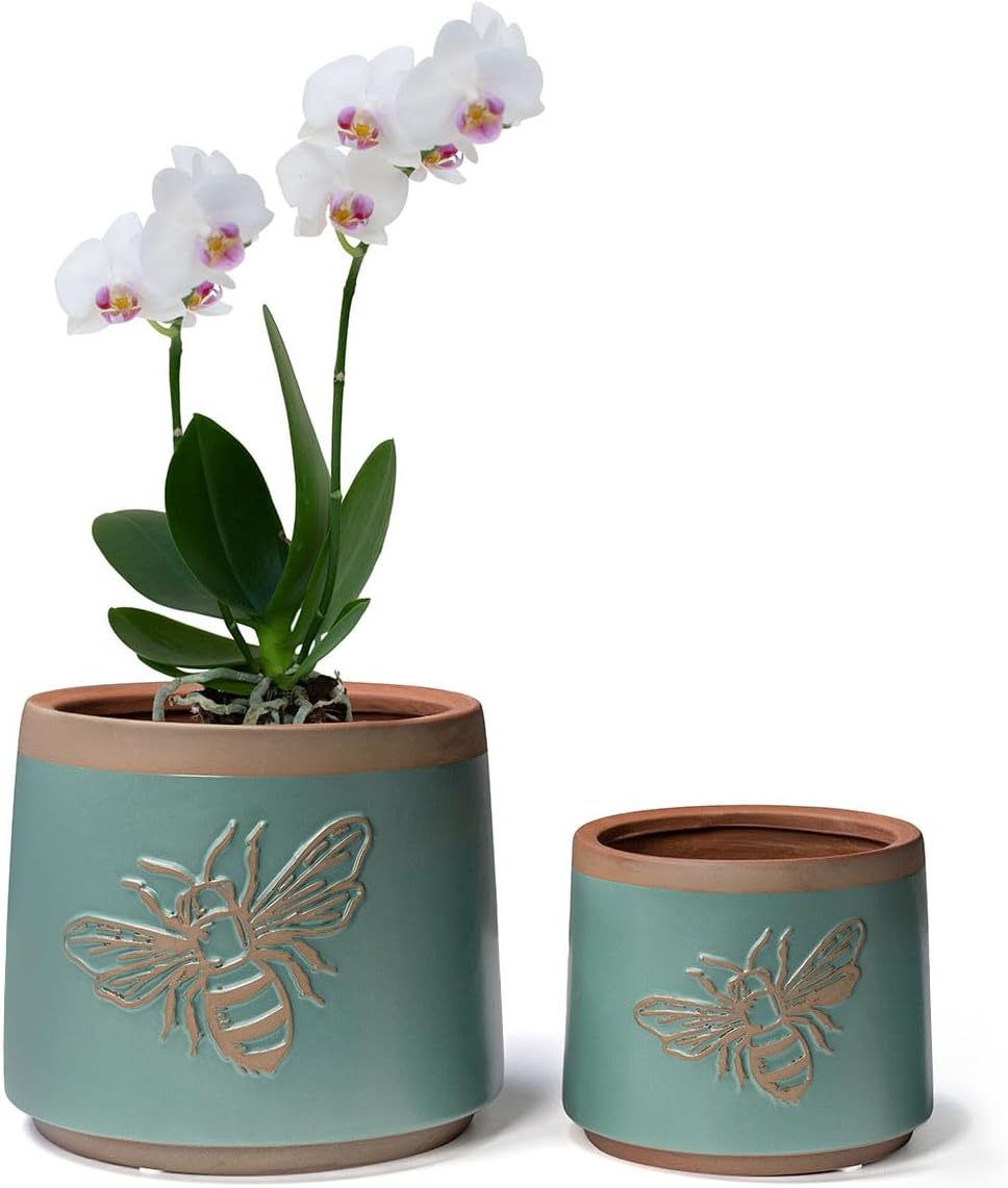 YBX 8 Inch + 6 Inch Ceramic Plant Pots, Succulent Flower Pots with Drainage Holes, Terracotta Planters for Indoor Plants, White&Terracotta (Garden)