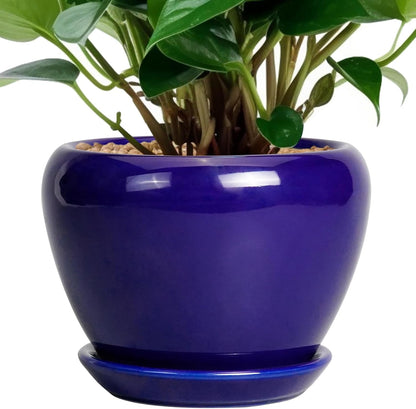 Ceramic Modern Glaze Succulent Planter Pot with Drainage Hole and Saucer 6 Inch Round Flower Plant Pot for Indoor Outdoor Herb Snake Plants
