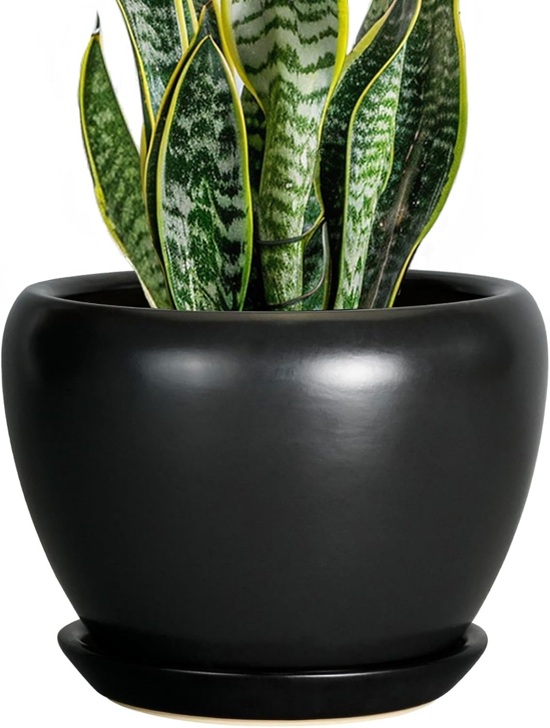 Ceramic Modern Glaze Succulent Planter Pot with Drainage Hole and Saucer 6 Inch Round Flower Plant Pot for Indoor Outdoor Herb Snake Plants