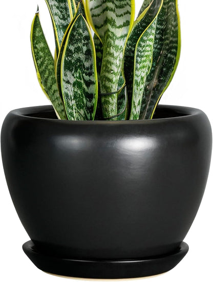 Ceramic Modern Glaze Succulent Planter Pot with Drainage Hole and Saucer 6 Inch Round Flower Plant Pot for Indoor Outdoor Herb Snake Plants