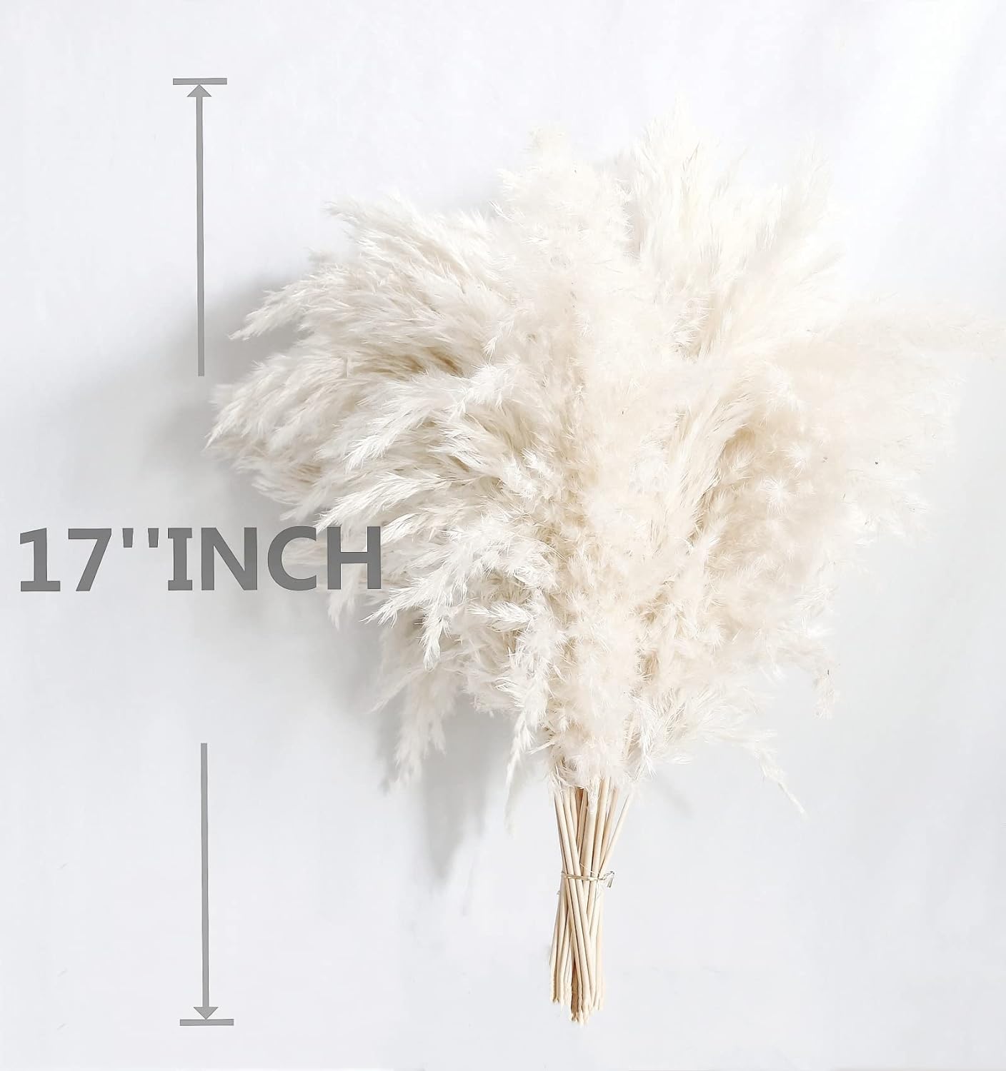 Pampas Grass Decor, Natural Dry Pampas Grass Small, Short Pampass Bulk for Farmhouse, Wall, Kitchen, Bedroom Decor, Office Decor (17 inch )