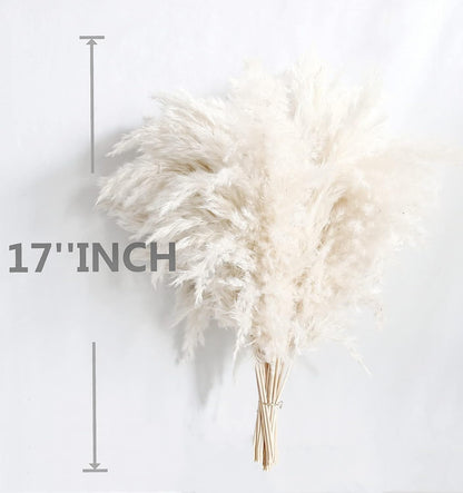 Pampas Grass Decor, Natural Dry Pampas Grass Small, Short Pampass Bulk for Farmhouse, Wall, Kitchen, Bedroom Decor, Office Decor (17 inch )