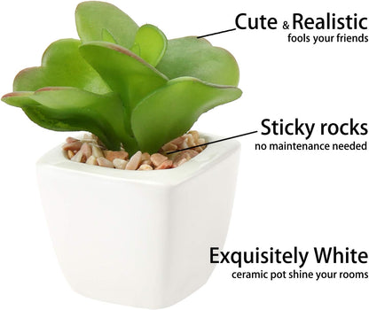 Briful Mini Fake Plants 4 Packs Succuletns Artificial Potted Plants in Cube Glass Vase Faux Succulents for Bathroom Living Room Kitchen Shelf Table Decor