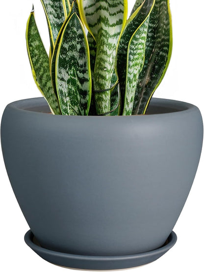 Ceramic Modern Glaze Succulent Planter Pot with Drainage Hole and Saucer 6 Inch Round Flower Plant Pot for Indoor Outdoor Herb Snake Plants